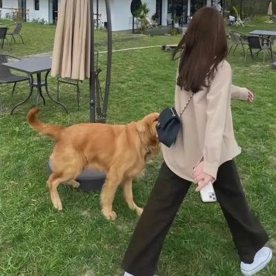精灵守护者第二部